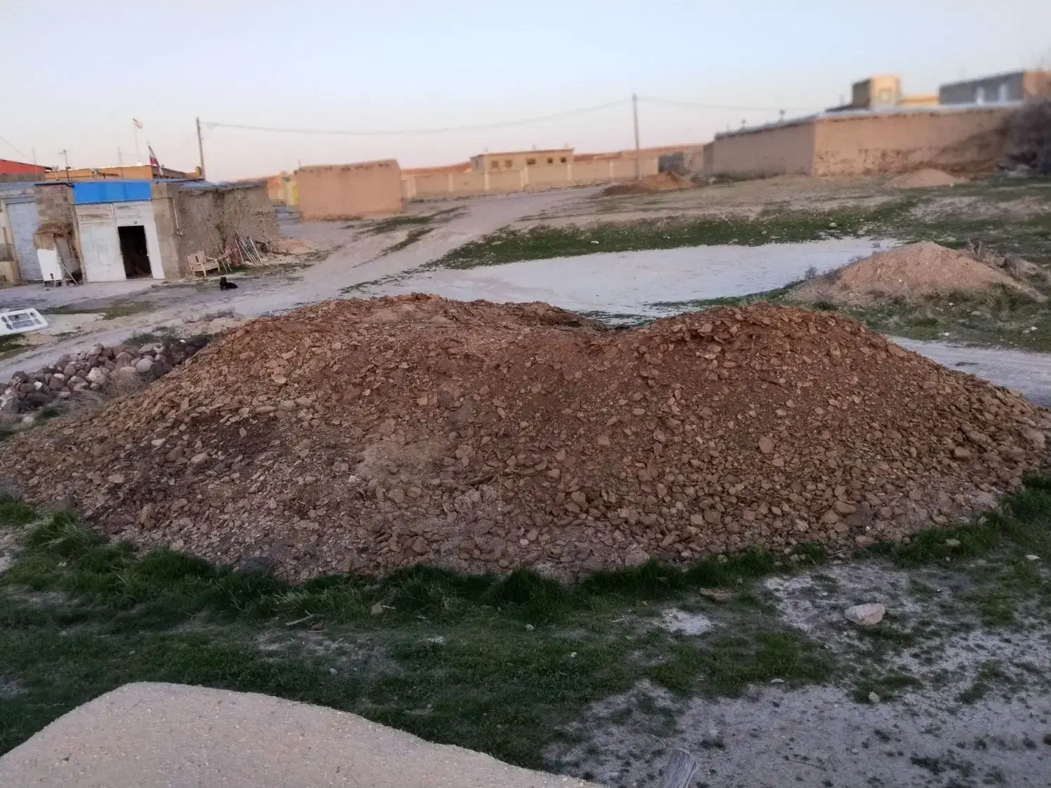 پهن گوسفندی|خدمات باغبانی و درختکاری|گل تپه, |دیوار