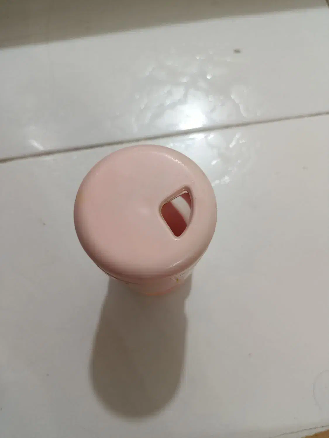 بانگ|ظروف نگهدارنده، پلاستیکی، یک‌بارمصرف|کرج, خرمدشت|دیوار