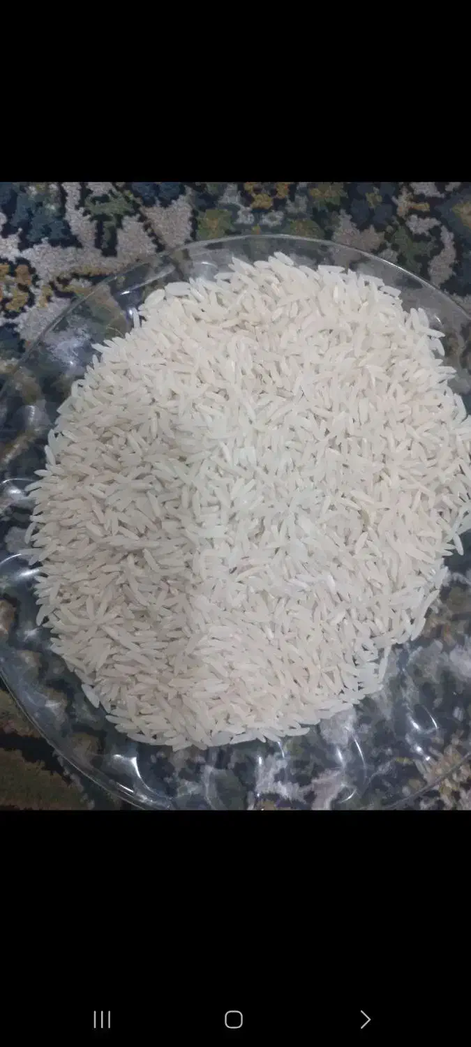 فروش ویژه برنج طارم محلی ، تازه برداشت|خوردنی و آشامیدنی|محمدیه-قزوین, |دیوار