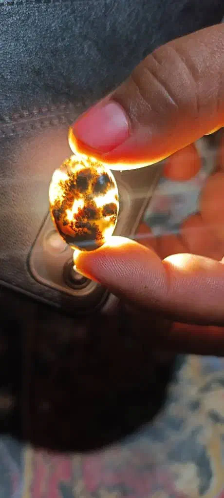 شجر فسا و قاعنات|جواهرات|فسا, |دیوار