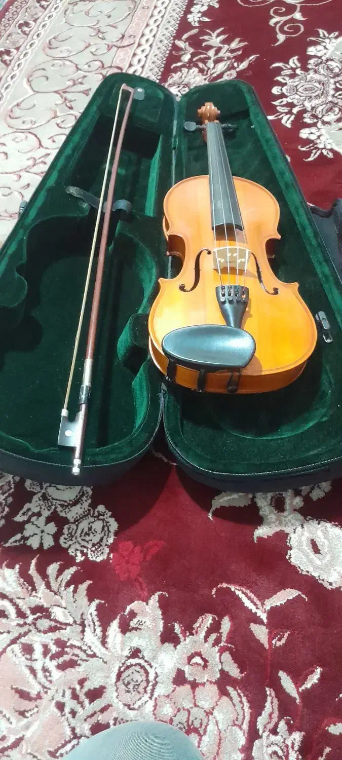 ویالن|ویولن|نیشابور, دربقاضی|دیوار