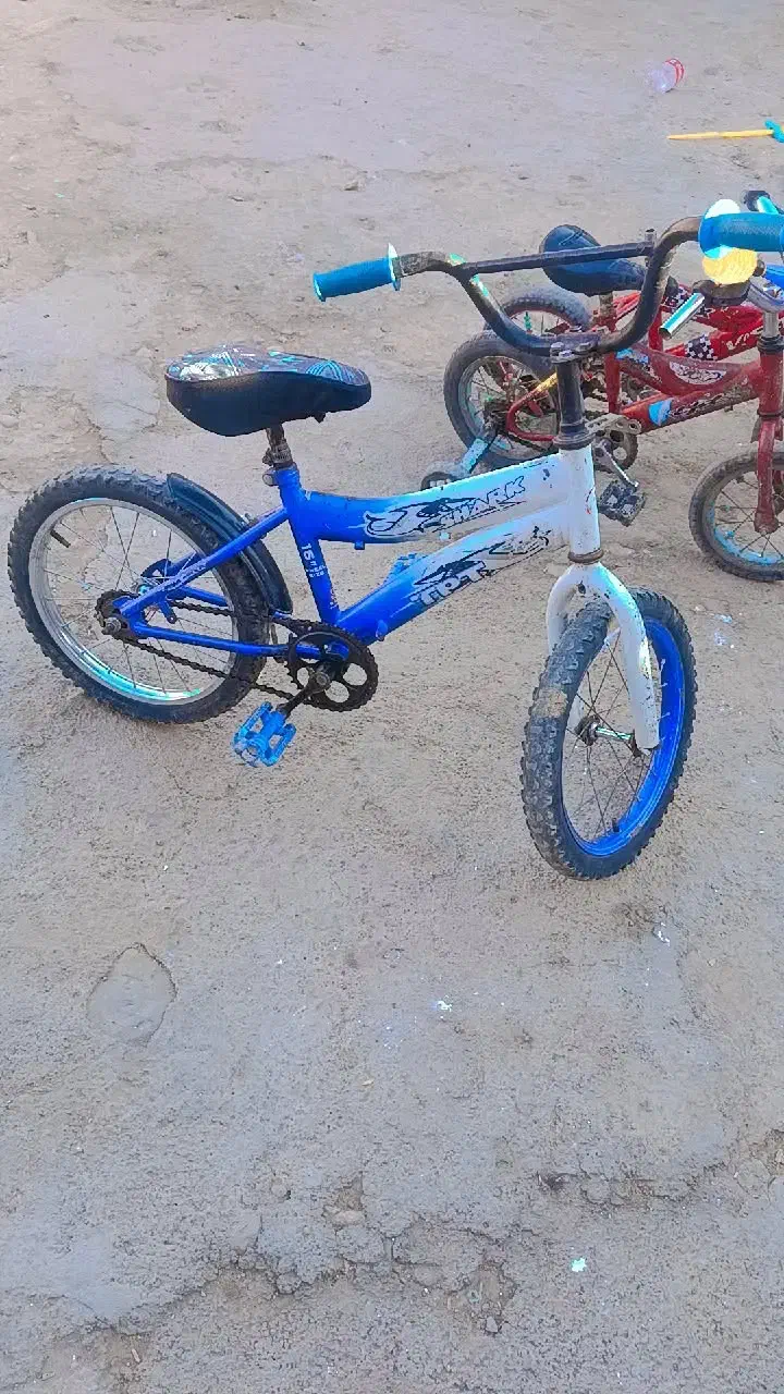 دوچرخه 16|دوچرخه، اسکیت، اسکوتر|شاهرود, |دیوار