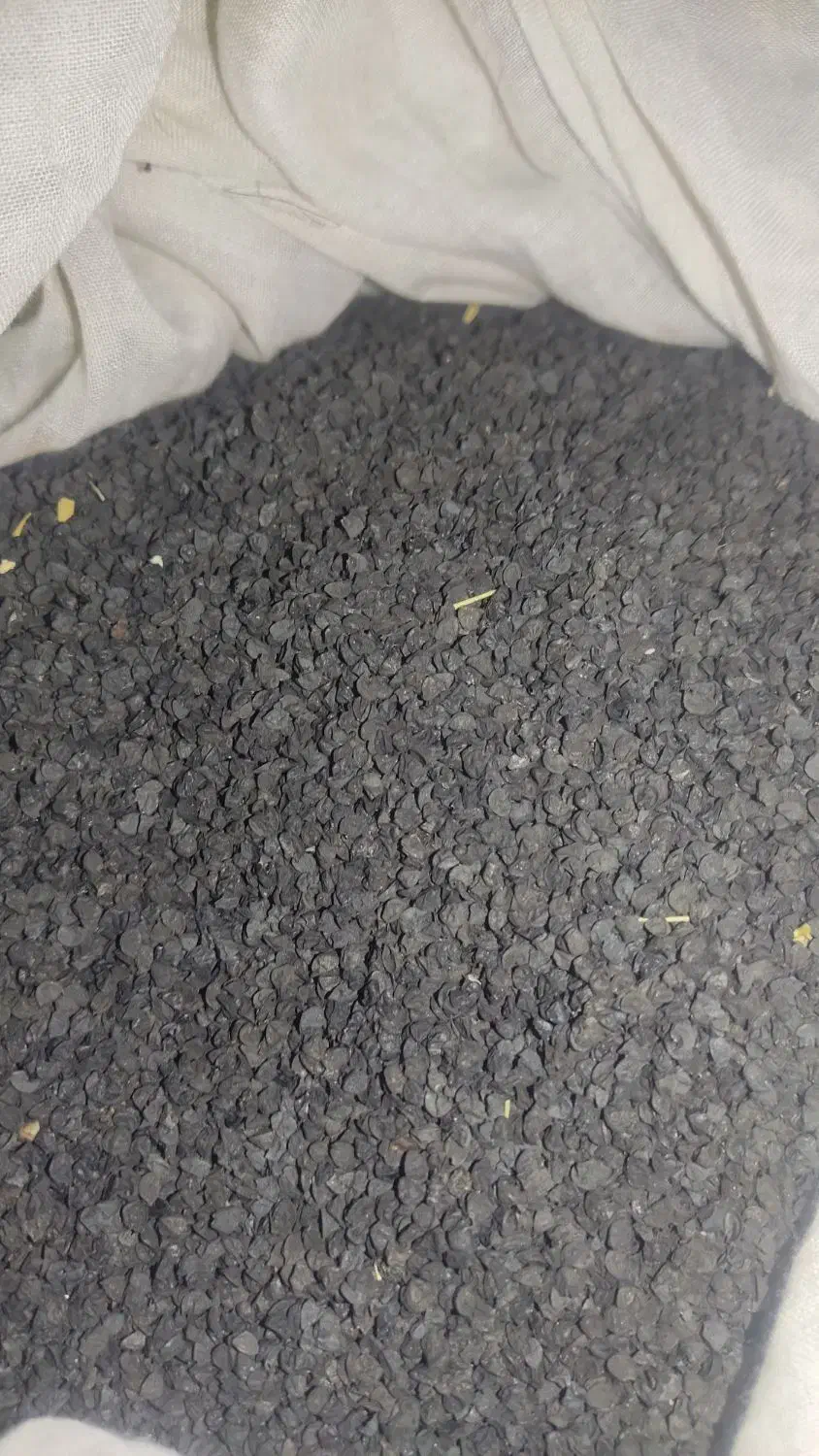 بزر پیاز قرمز درجه یک|گل و گیاه طبیعی|دامن, |دیوار