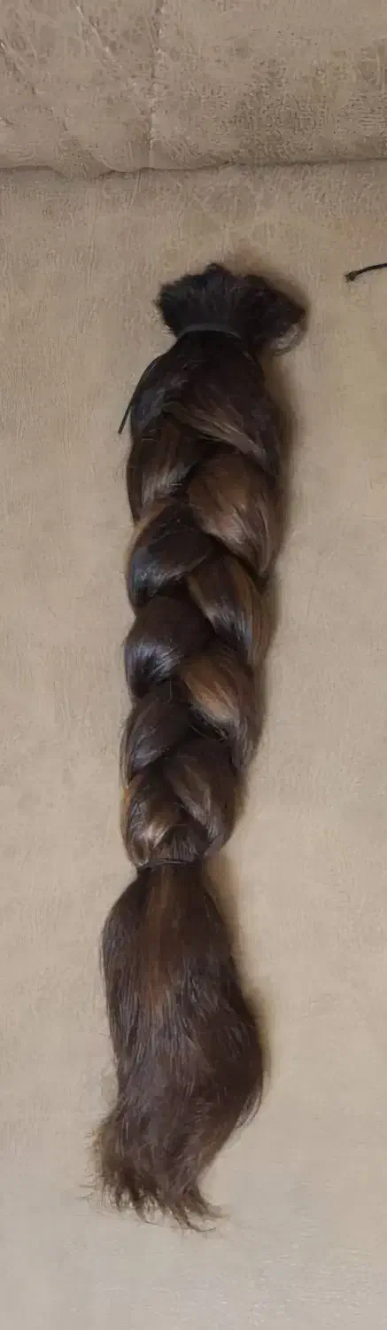 فروش موی طبیعی|آرایشی، بهداشتی، درمانی|بهشهر, |دیوار