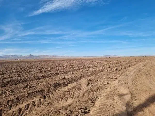 اجاره زمین کشاورزی|اجارهٔ دفتر صنعتی، کشاورزی، تجاری|چاه داد خدا, |دیوار