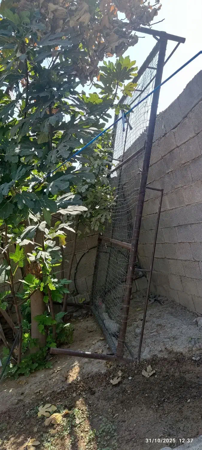 فروش تخت آهنی|مبلمان خانگی و میز عسلی|نورآباد ممسنی, |دیوار