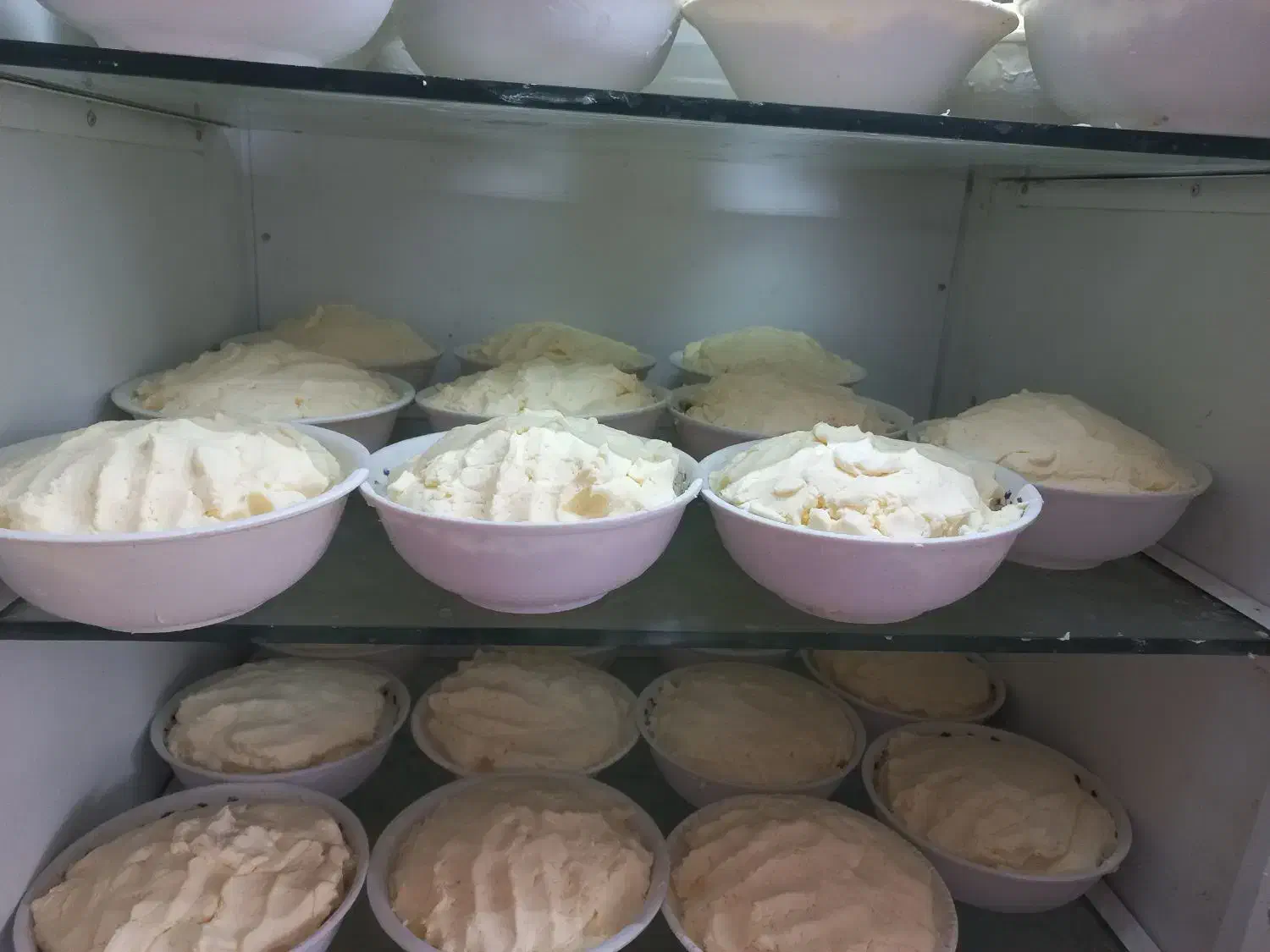 فروش تک وعمده|عمده‌فروشی|گلوگاه بابل (گلیا), |دیوار