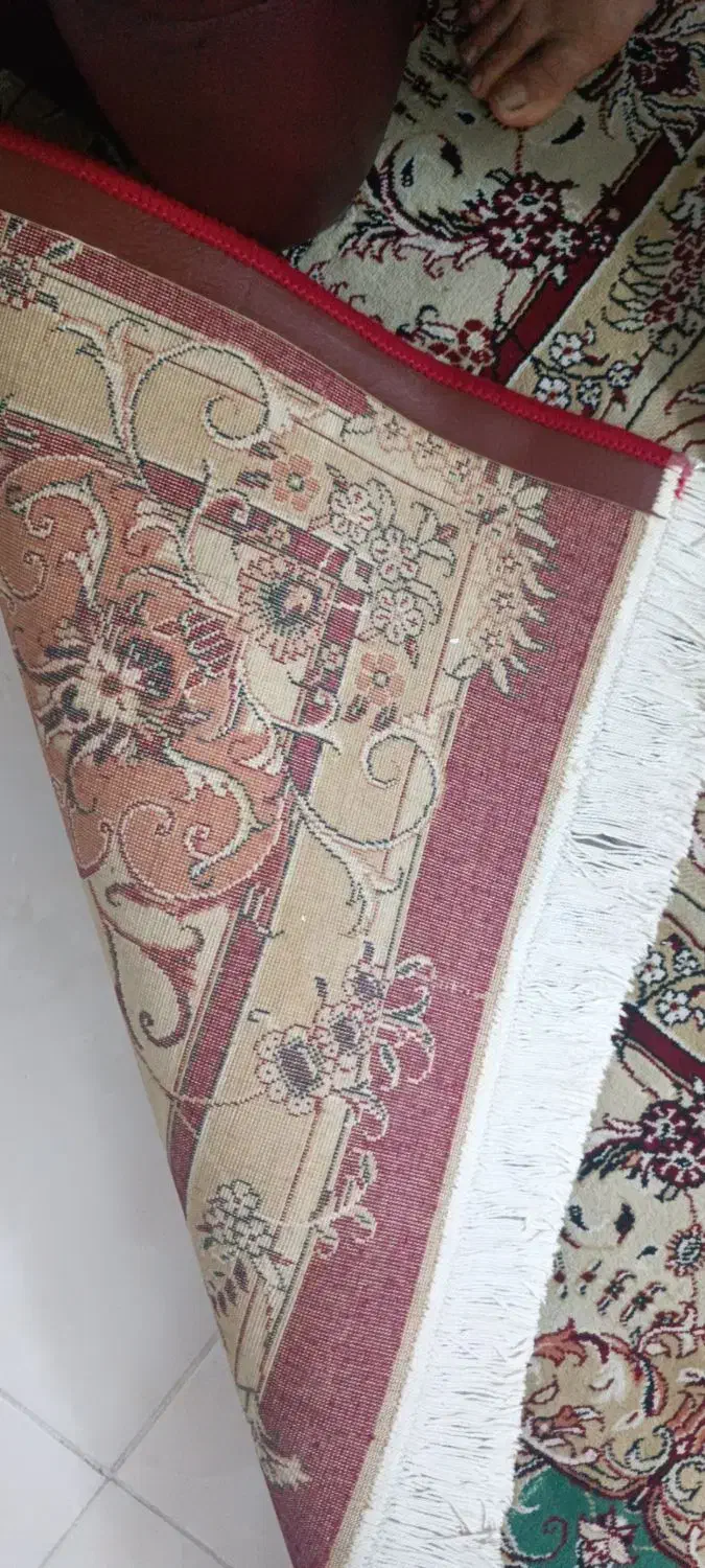 دو عدد فرش ۱۲ متری درحد نو|فرش|گرگان, |دیوار