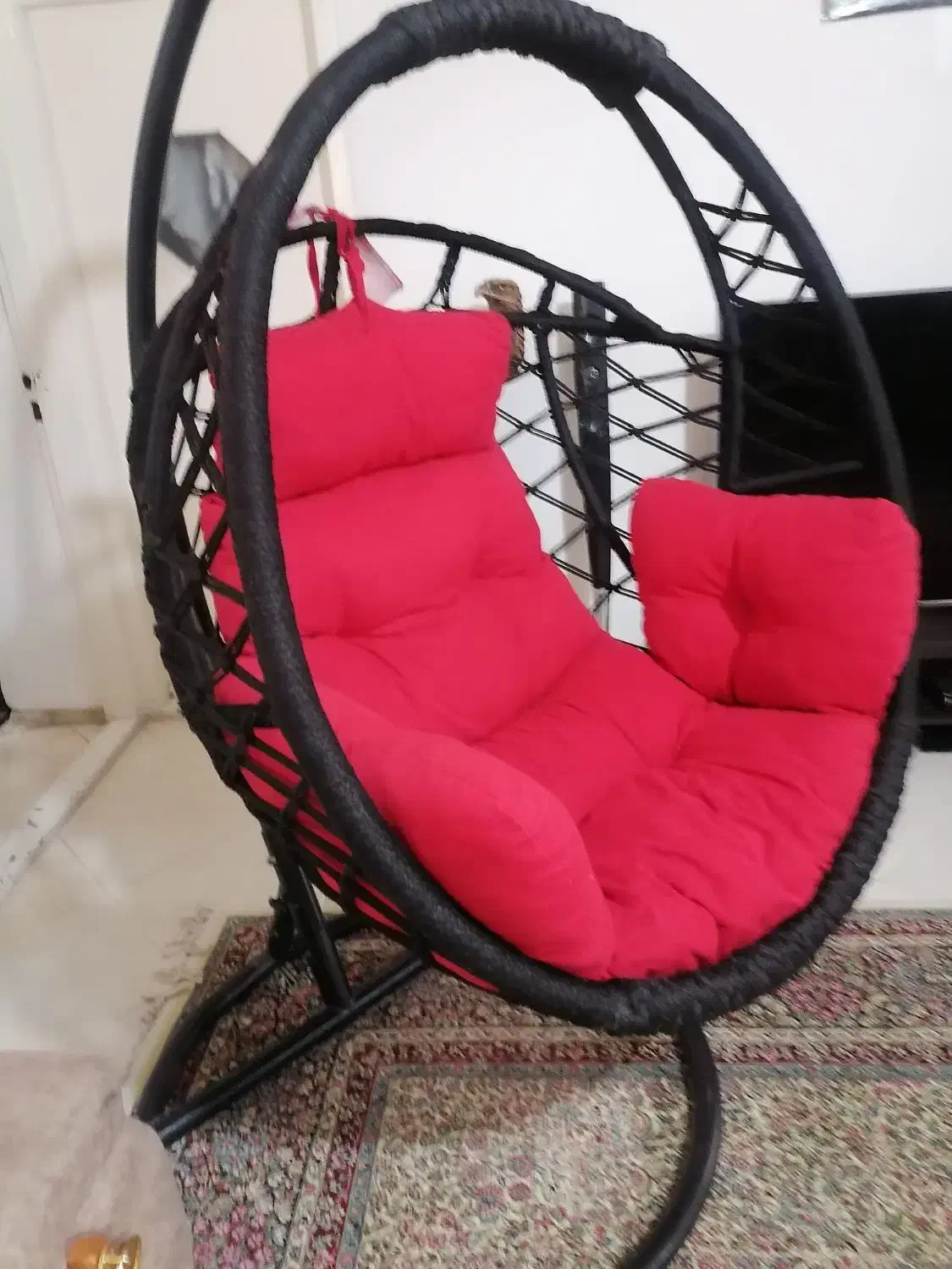 تاب ریلکسی|صندلی و نیمکت|کرمان, |دیوار