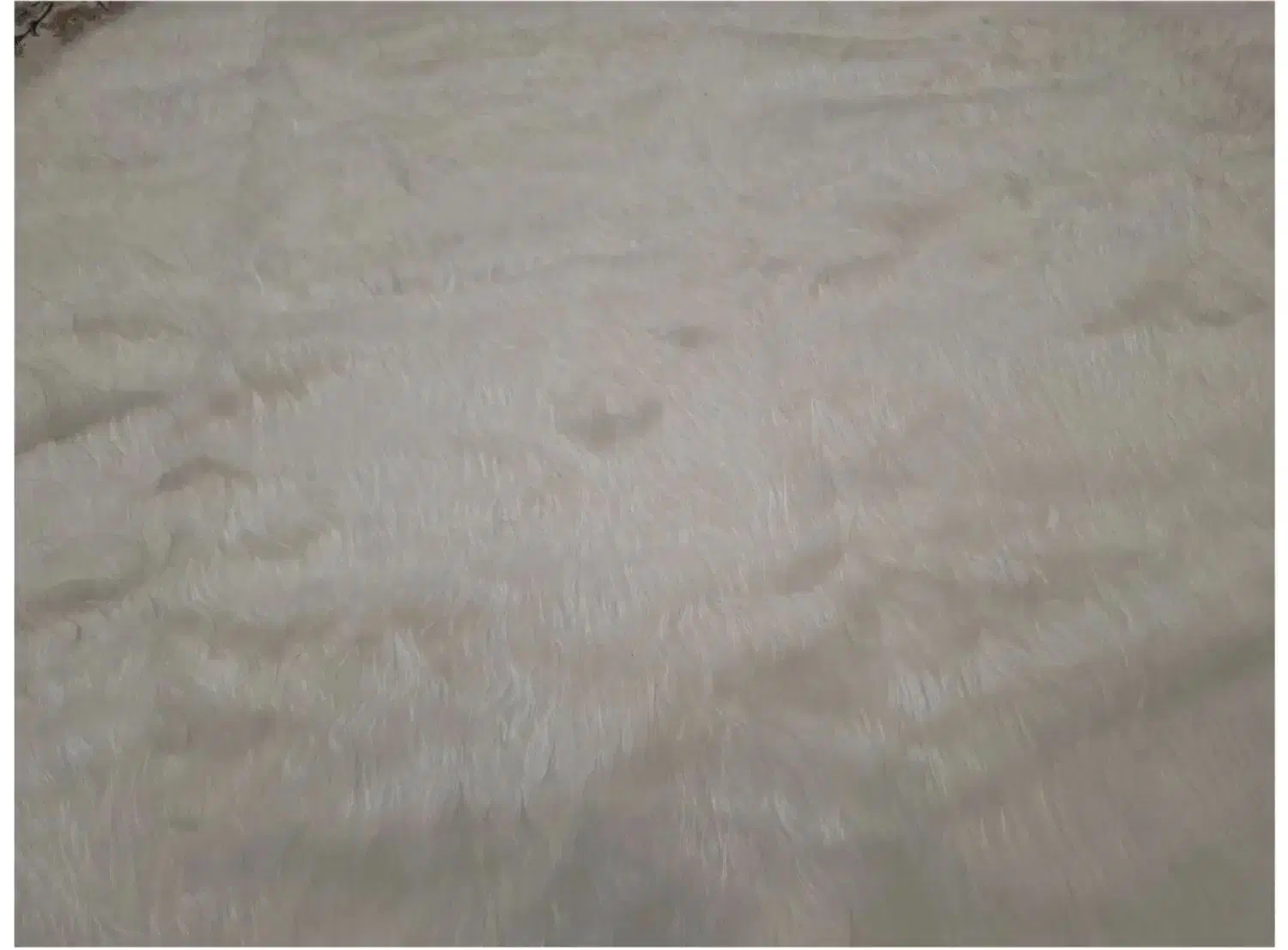 فرش ماشینی فانتزی|فرش|مشهد, هنرستان|دیوار