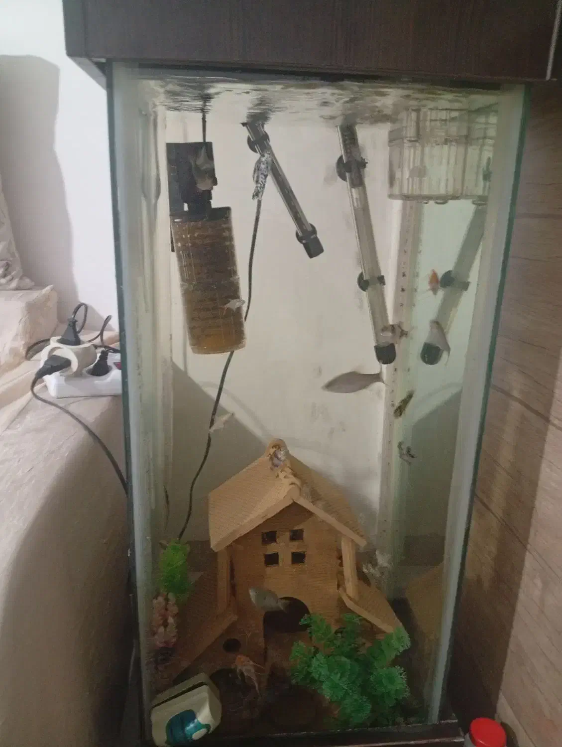 آکواریوم|ماهی|شیراز, درکی|دیوار