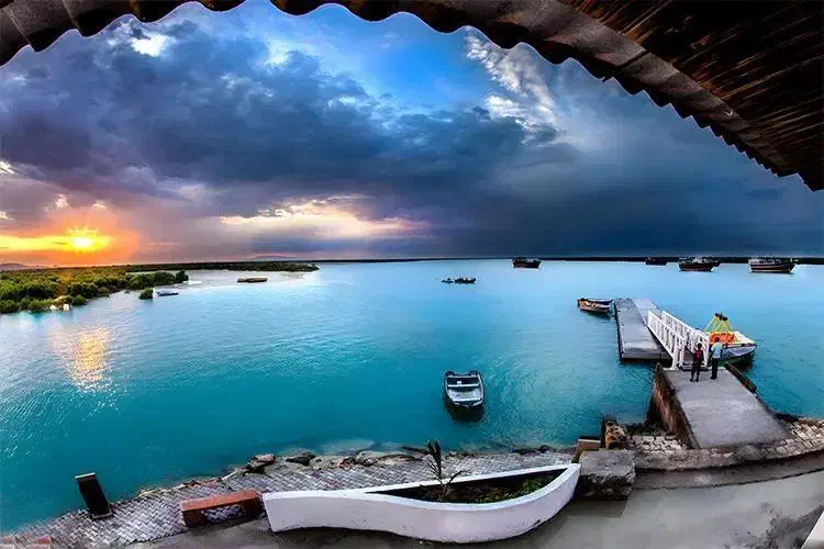 تورهای داخلی|تور و چارتر|تهران, باغ فیض|دیوار