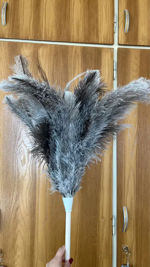 گردگیر پر شترمرغ عمده و تک|لوازم نظافت|تهران, نیروی هوایی (پیروزی)|دیوار