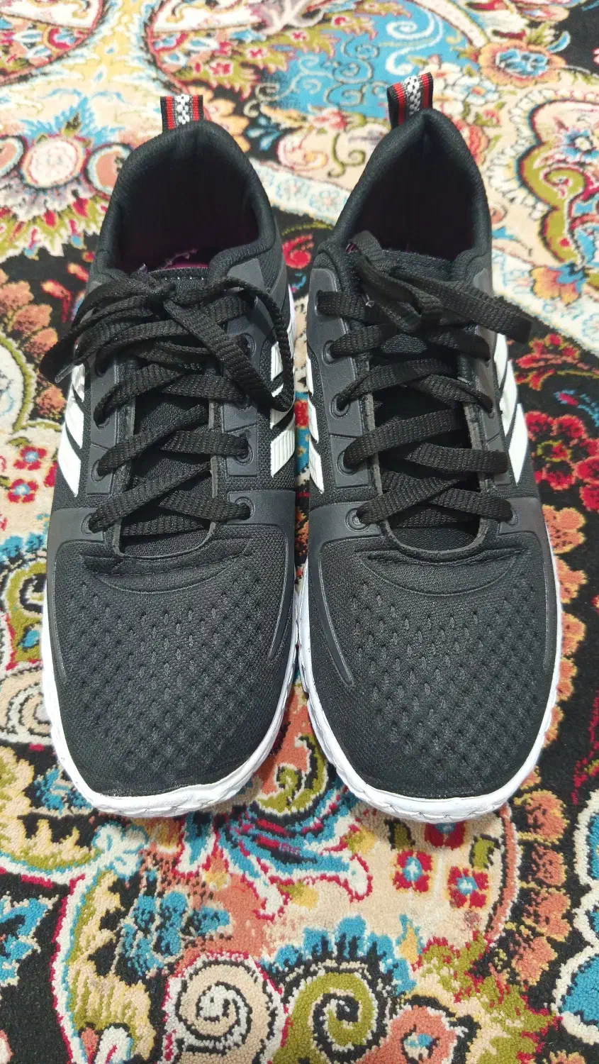 کفش مردانه|کیف، کفش، کمربند|سمنان, |دیوار