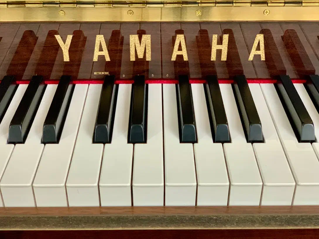 پیانو p125 یاماها پرو|پیانو، کیبورد، آکاردئون|تهران, پونک|دیوار