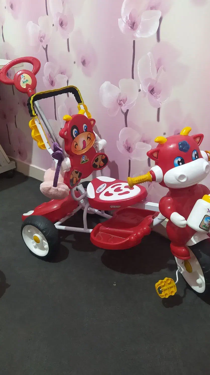 دوچرخه|دوچرخه، اسکیت، اسکوتر|تربتحیدریه, پایانه مسافربری تربت حیدریه|دیوار