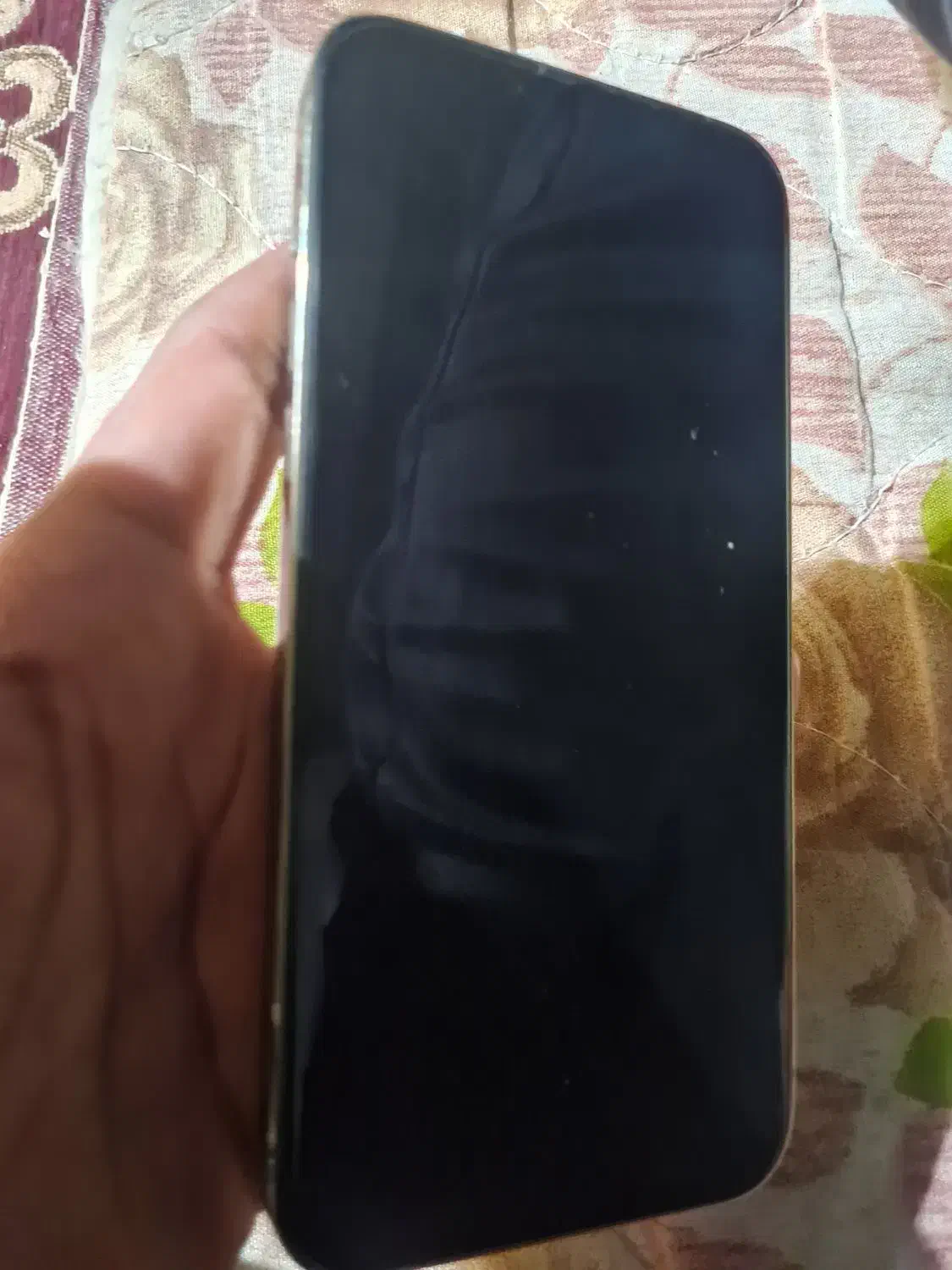 آیفون 13 پرومکس|موبایل|میناب, |دیوار