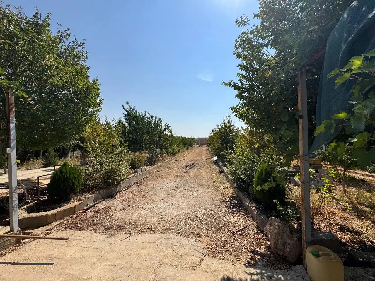 2400 باغ 8ساله  ورودی هماشهر|فروش خانه و ویلا|همایجان, |دیوار