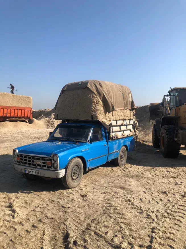 کاه نیشکر خشک مناسب دام بصرفه|حیوانات مزرعه|یاسوج, |دیوار