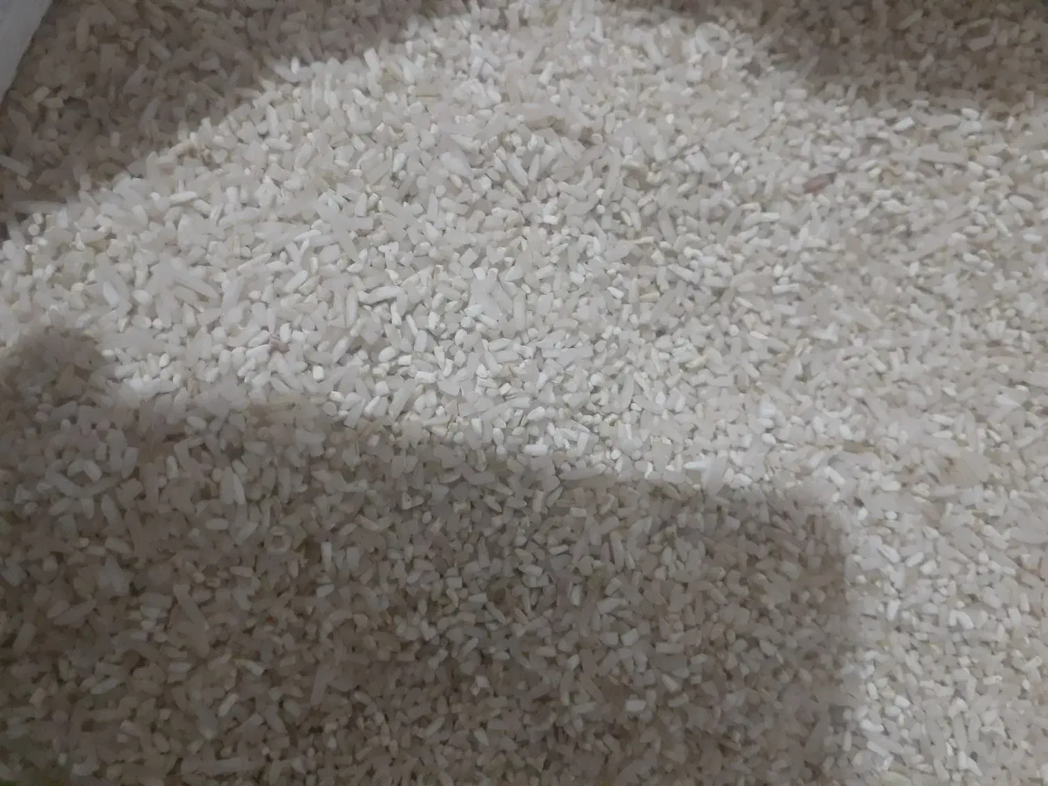 خرده برنج طارم|عمدهفروشی|سیروان, |دیوار