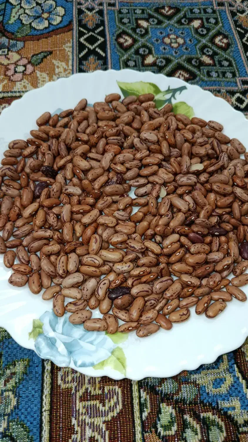 لوبیا سبزی|خوردنی و آشامیدنی|اهواز, کوی علوی|دیوار