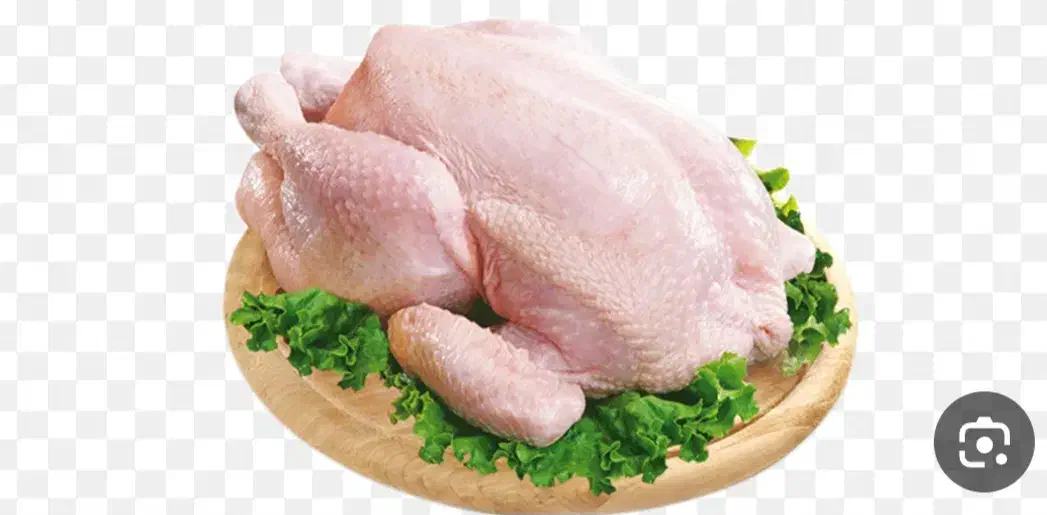 مرغ گرم|خوردنی و آشامیدنی|قم, حکمت شمالی|دیوار