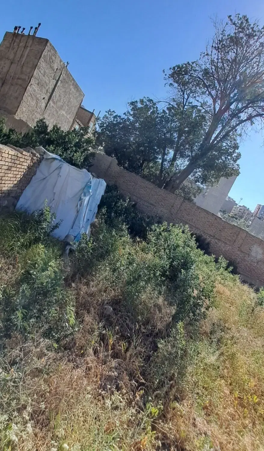 تصویر 3