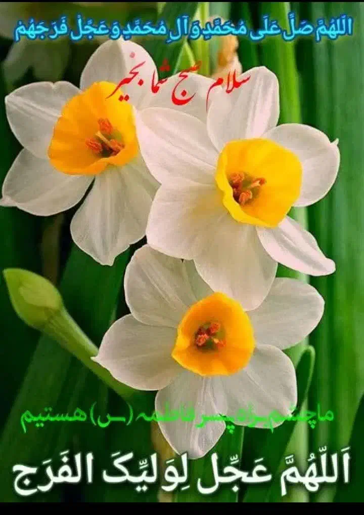 استخدام معلم کامپیوتر و حسابداری|استخدام آموزشی|اهواز, کوی باهنر|دیوار