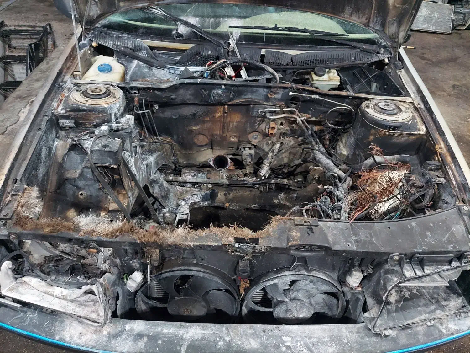 پژو 405 دوگانه|خودرو سواری و وانت|شهرضا, |دیوار