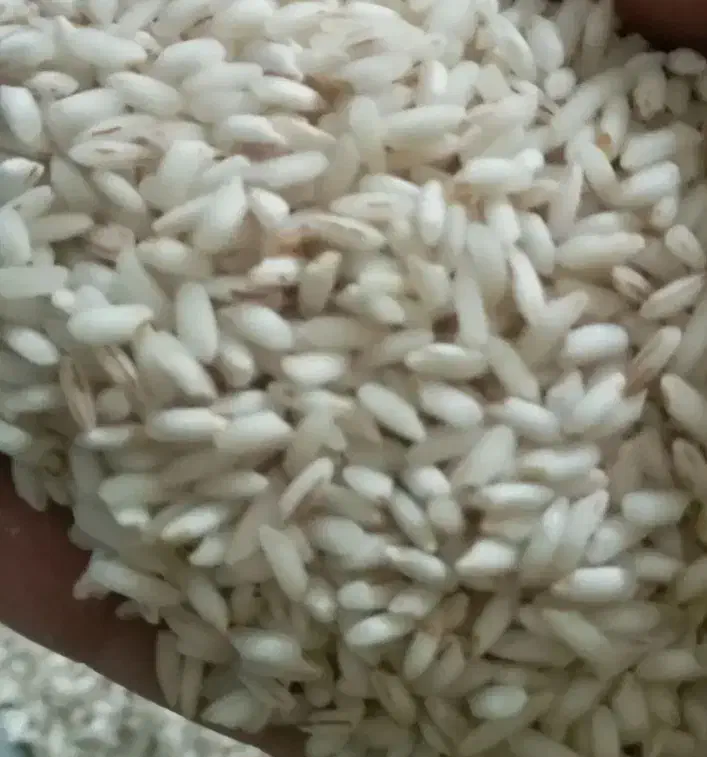 برنج|خوردنی و آشامیدنی|تهران, خواجه نظام الملک|دیوار