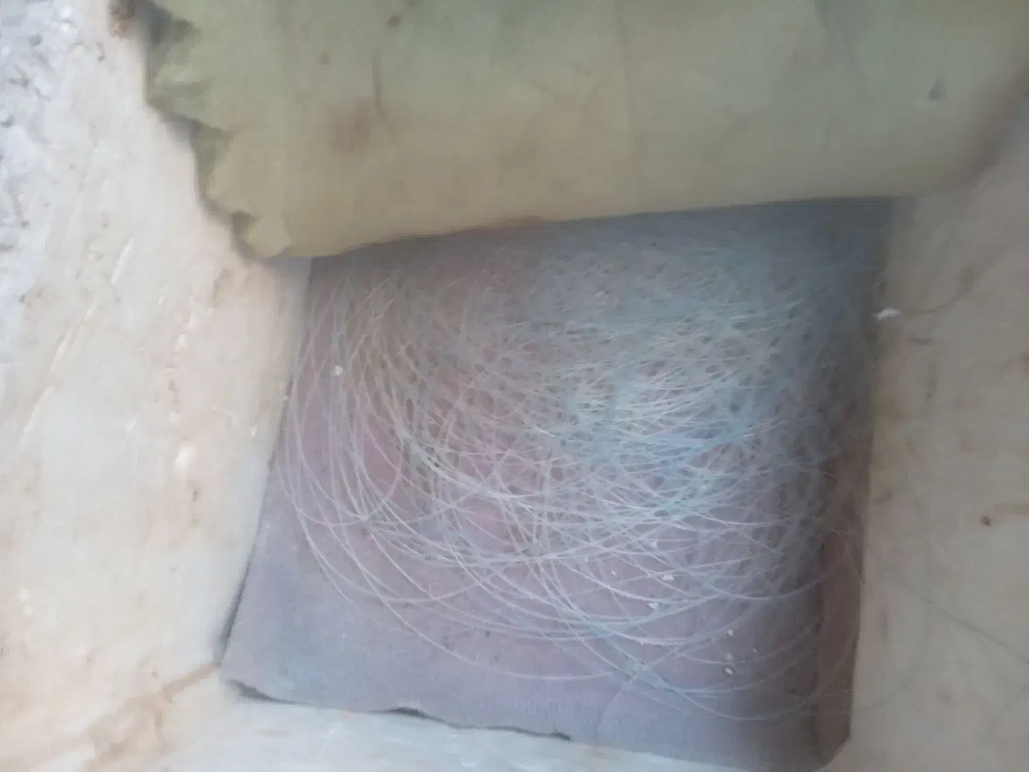 خیه ماهیگیری|ماهیگیری|بوشهر, |دیوار