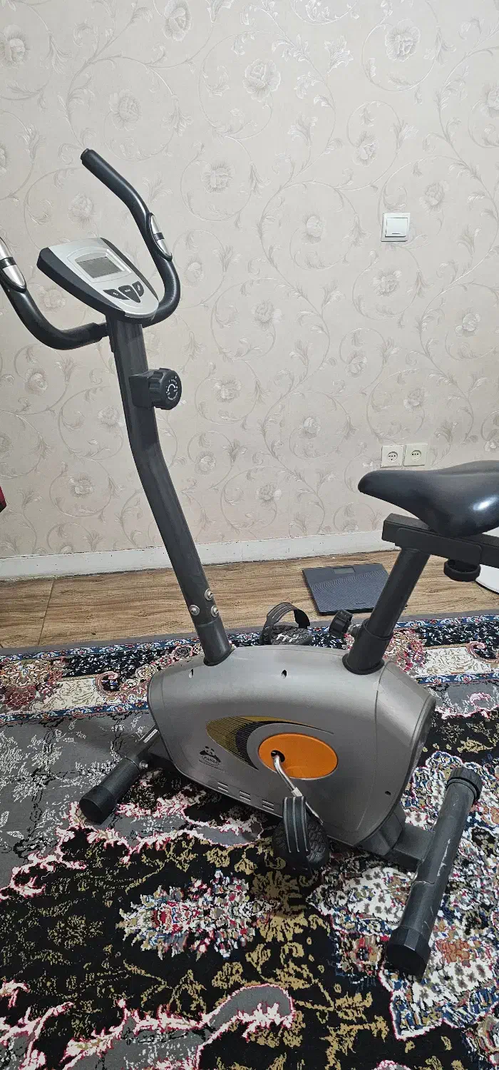 دوچرخه ثابت پاندا  در حد نو|تجهیزات ورزشی|قزوین, |دیوار