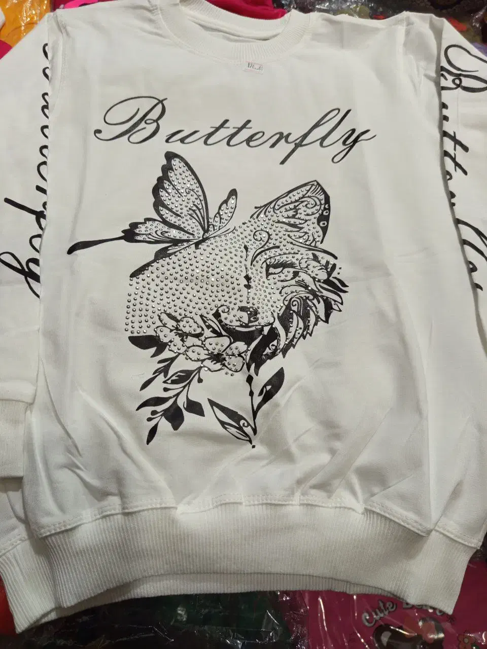 کبوتر|پرنده|سرپل ذهاب, |دیوار