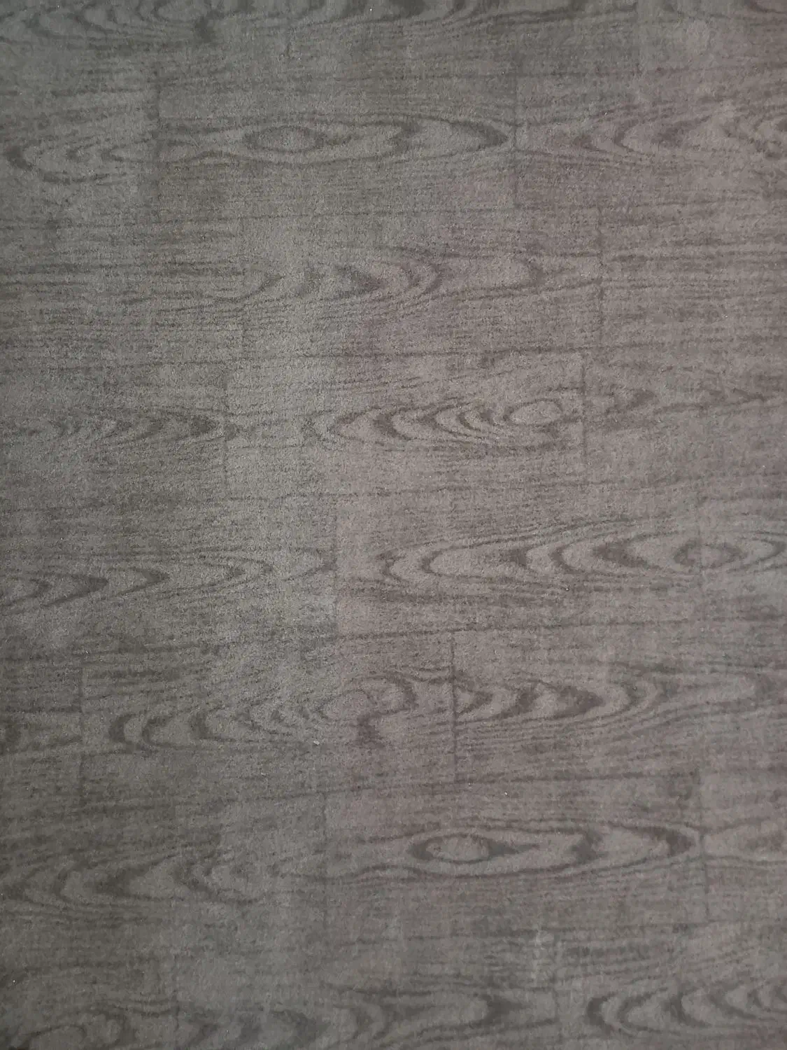 موکت بسیار بزرگ|موکت|کازرون, |دیوار