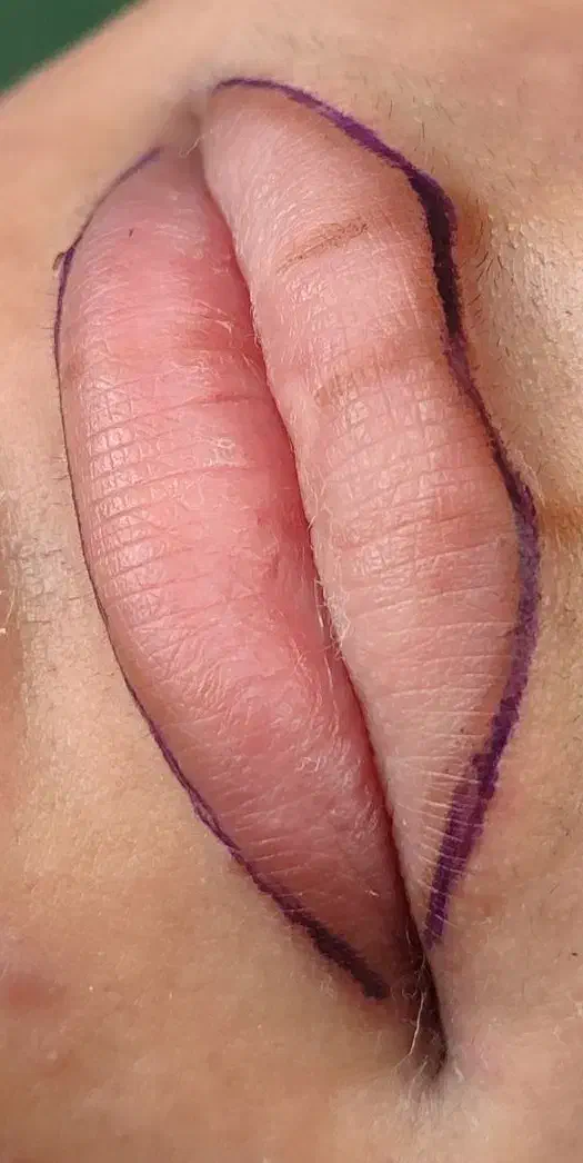 شیدینگ لب|خدمات آرایشگری و زیبایی|شیراز, تندگویان|دیوار