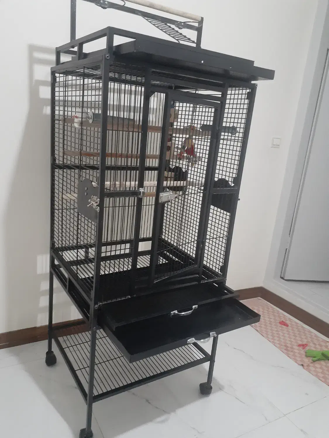 لوازم پرنده|لوازم جانبی حیوانات|فردیس, فردیس|دیوار