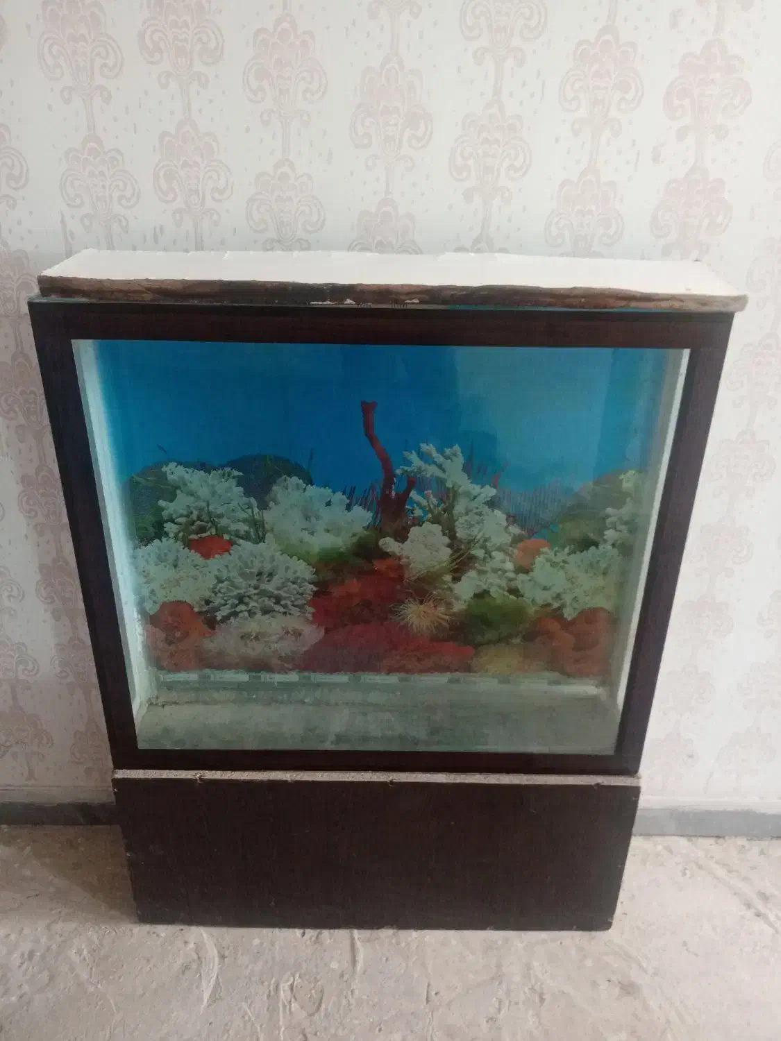 آکواریوم بزرگ|ماهی|قوچان, |دیوار