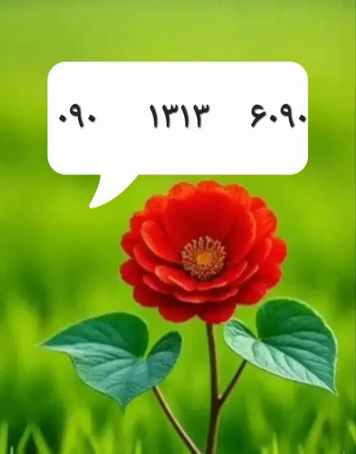 خط فوق رند|سیم‌کارت|هشتگرد, فاز ۱ مهستان|دیوار