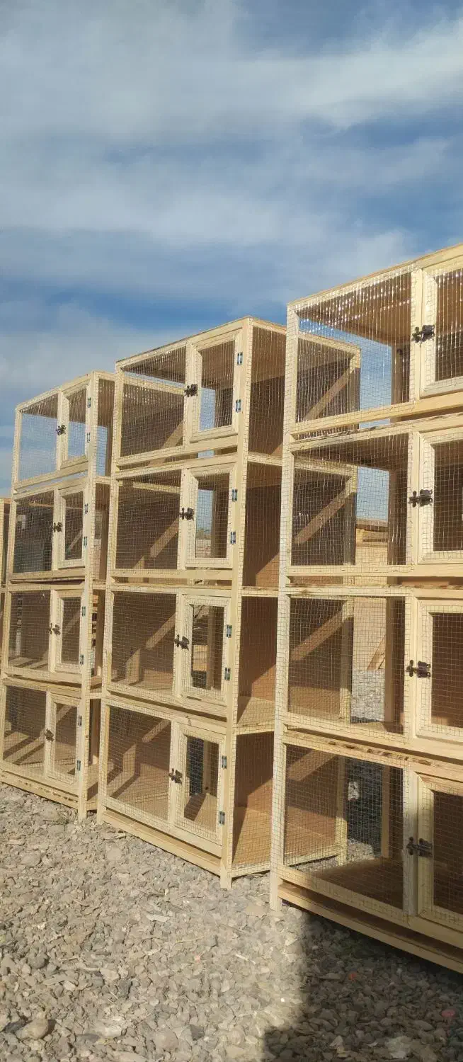 تولیدی جفت کن|لوازم جانبی حیوانات|کرمان, |دیوار