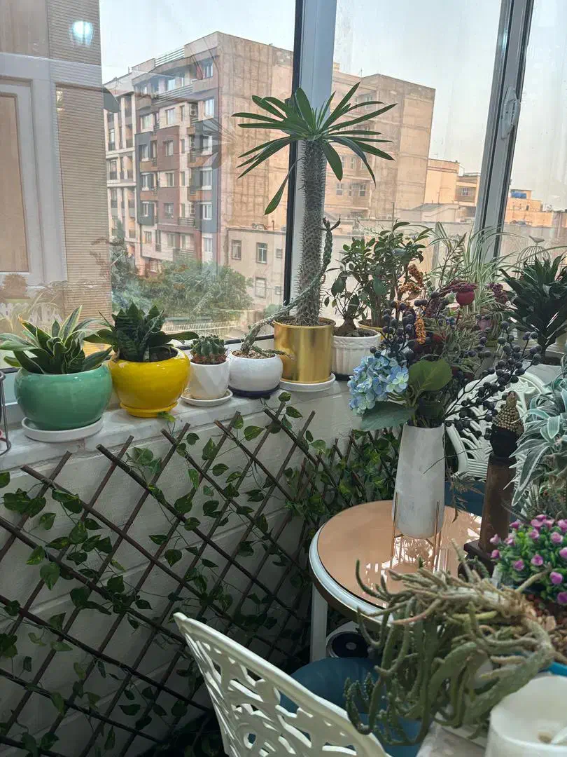 ۸۰ متر ۳ خواب( فول امکانات ۱۲ ساله)چمران فکوری|فروش آپارتمان|تهران, پونک|دیوار