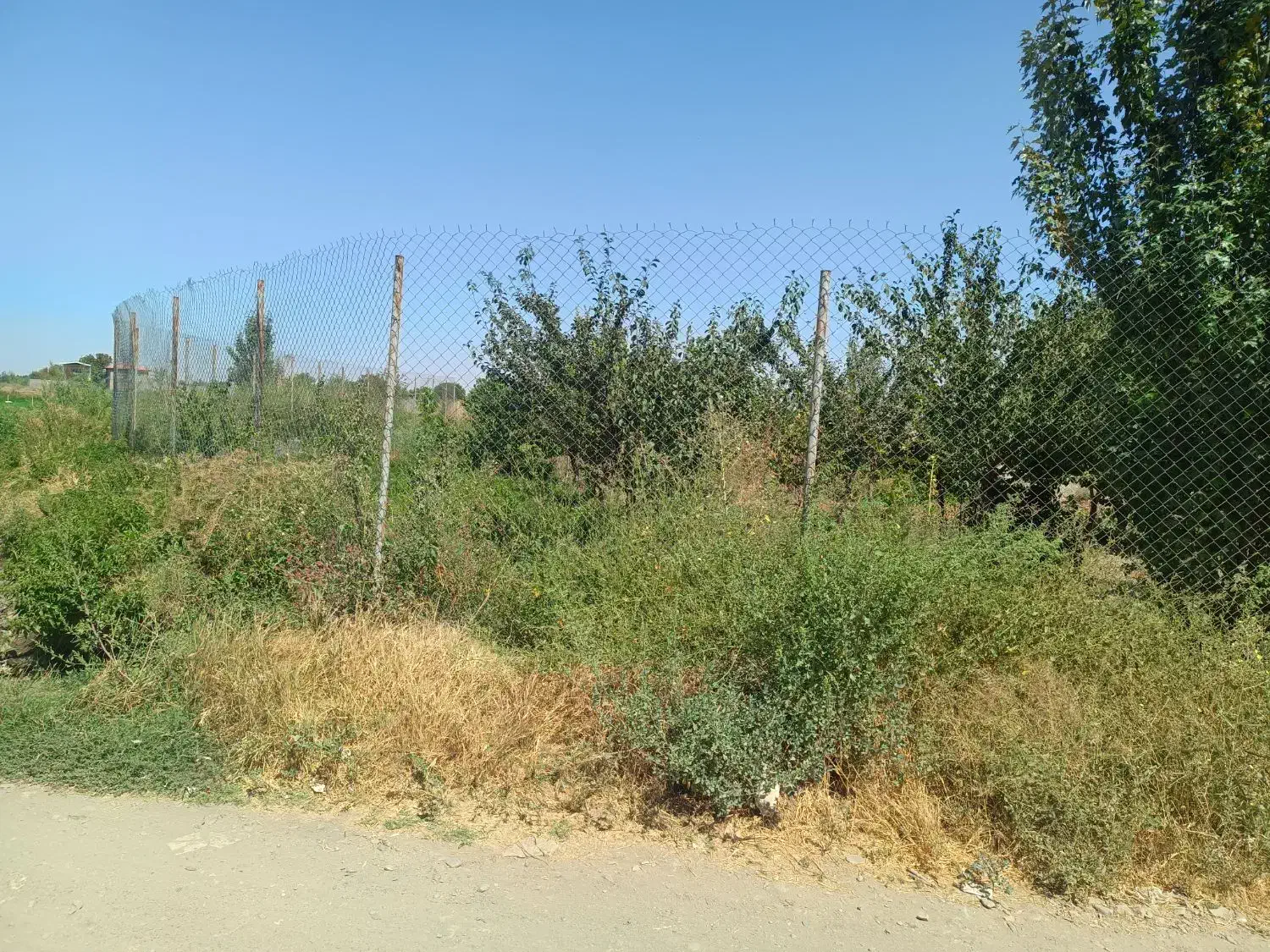 ۳۵۰متر زمین بعد از باشگاه علی آباد|فروش زمین و ملک کلنگی|همدان, |دیوار