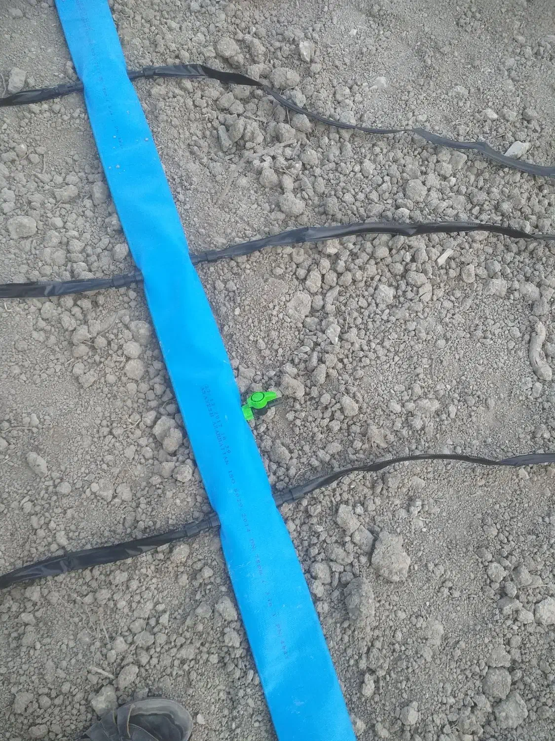 لوله آبیاری قطره ای لی فلت|عمده‌فروشی|گچی, |دیوار