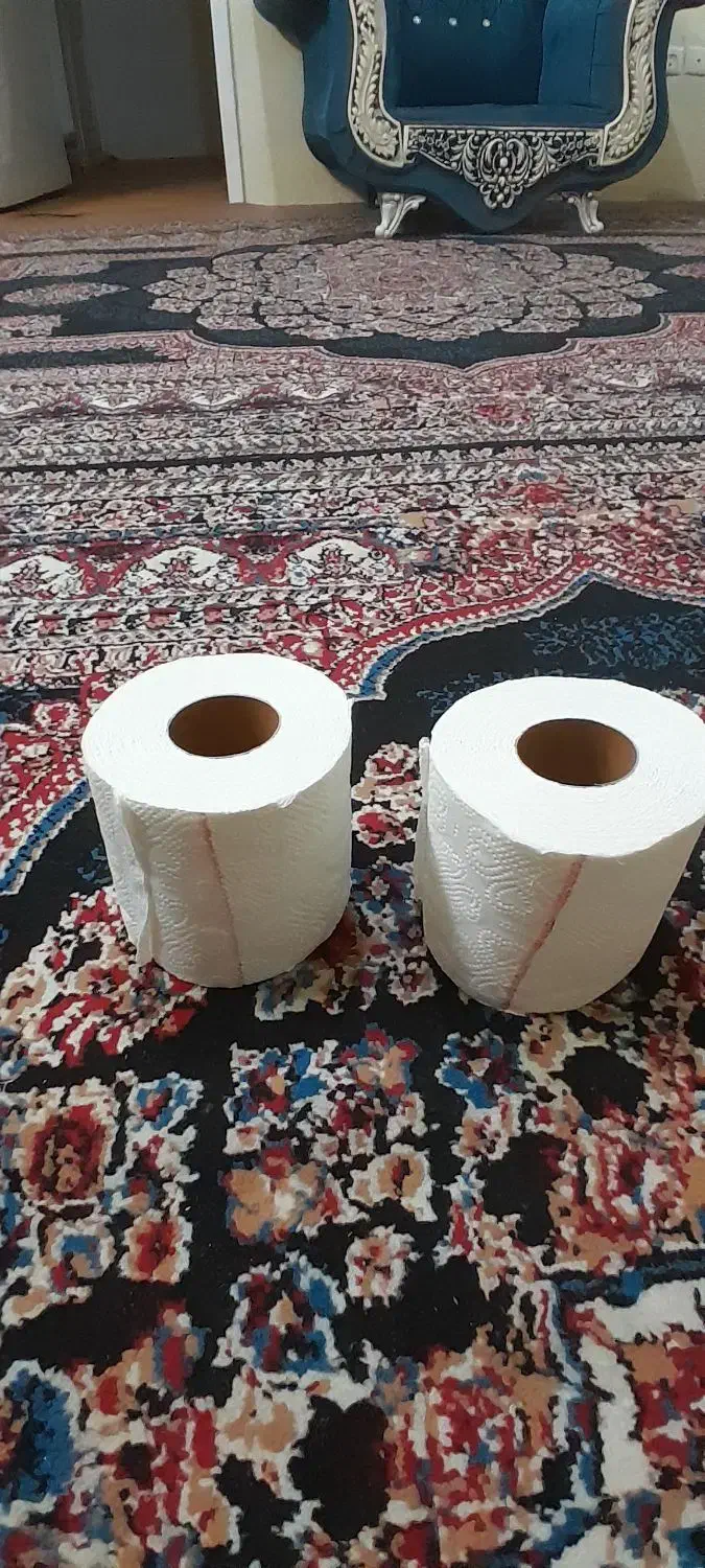 دست مال کاغذی گلریز|مواد شوینده و دستمال کاغذی|مشهد, امامیه (شهرک غرب)|دیوار