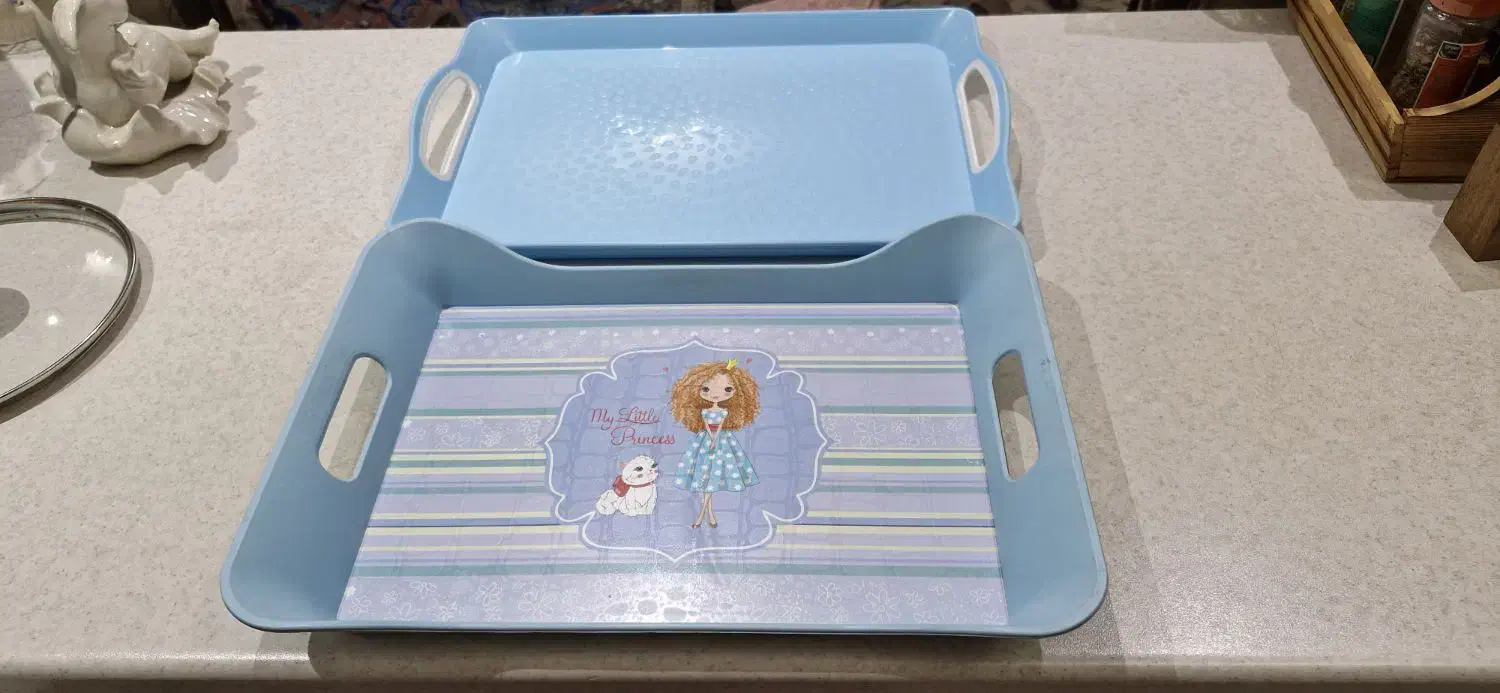 سینی|ظروف سرو و پذیرایی|تهران, دانشگاه شریف|دیوار