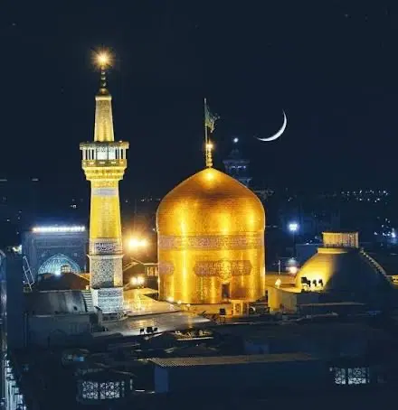 مشهد ی|تور و چارتر|بم, |دیوار