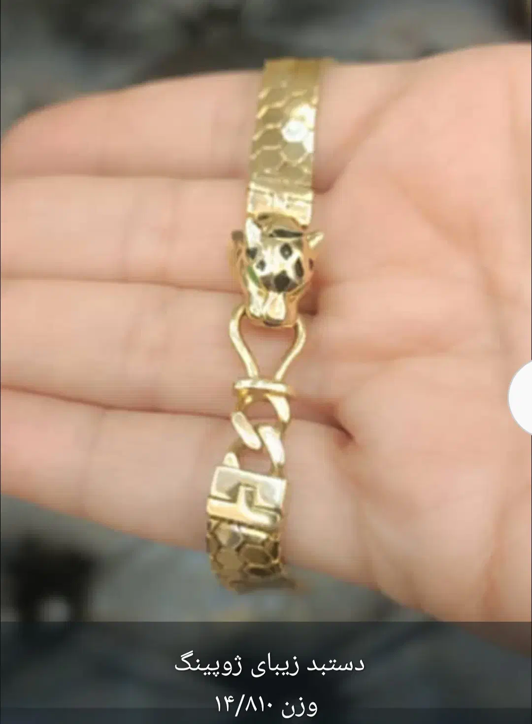 طلای شیک|جواهرات|یاسوج, |دیوار