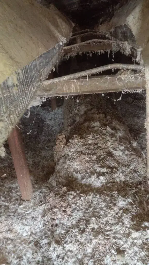 کود مرغی|خدمات باغبانی و درختکاری|تایباد, |دیوار