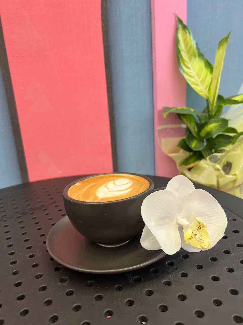 استخدام باریستا مسلط در کافه بستنی ژلاتو|استخدام خدمات فروشگاه و رستوران|ماسال, |دیوار