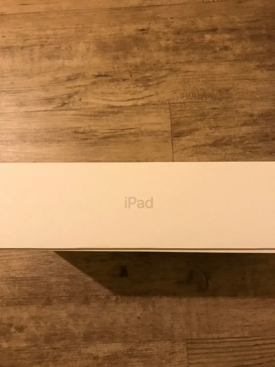 آیپد اپل سیلور به همراه محافظ برند|تبلت|رشت, فلسطین|دیوار