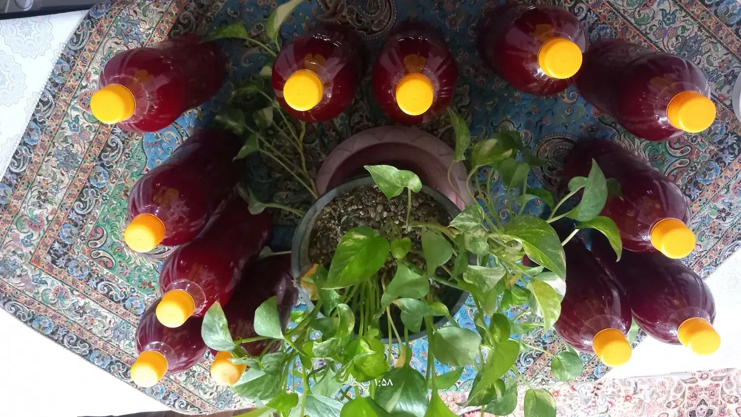 آب زرشک|خوردنی و آشامیدنی|بیرجند, |دیوار